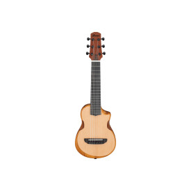 IBANEZ AUP10N OPN