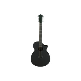 Ibanez AEWC621 BOT