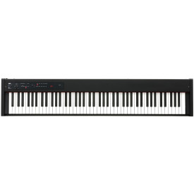KORG D1