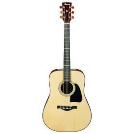 IBANEZ AW3000 NT