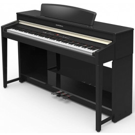 Kurzweil CUP-120 BP