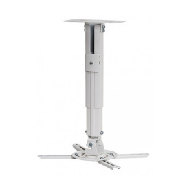 Lautsenn Pro 305