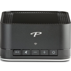 Paradigm PW AMP