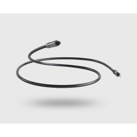 QED Performance Graphite Optical 1м