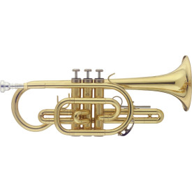 Stagg WS-CR215S