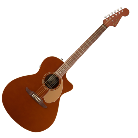 FENDER NEWPORTER PLAYER RSC