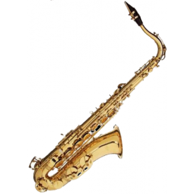 Stagg 77-ST