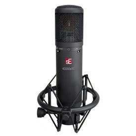 sE Electronics SE 2200A II C