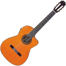 Aria AC 25CE
