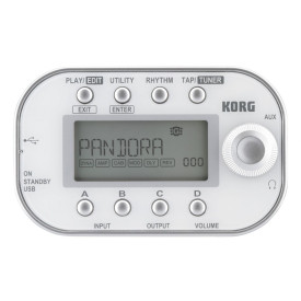 Korg Pandora PX5D