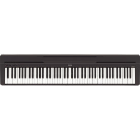 YAMAHA P-45B