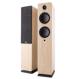 Argon Audio Fenris Active 55 Ash