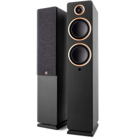 Argon Audio Fenris Active 55 Black