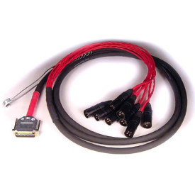AVID DB25-XLRM DIGISNAKE 4'