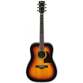 IBANEZ AW300 VS