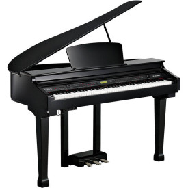 Kurzweil KAG-100 EP