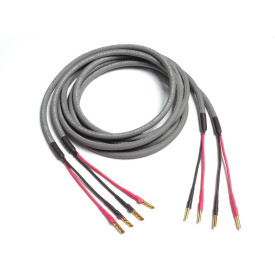Cardas 101 2,5m pair