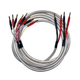 Atlas Equator Bi-wire 2 x 2 m с бананами Z plug