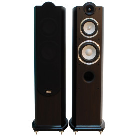 Taga Harmony Platinum F-60 WENGE