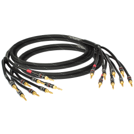 GOLDKABEL edition ORCHESTRA Bi-Amping 2x2,0м