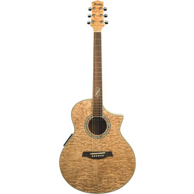 IBANEZ EW20ASE-NT