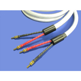 Straight Wire Expressivo Grande (EX60008) 2.4м