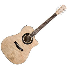Fender T-BUCKET 400CE NT