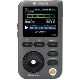 Lotoo PAW 5000 Grey