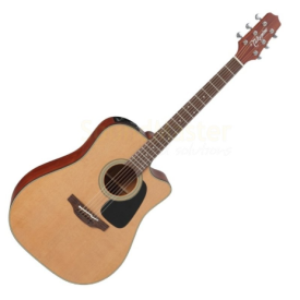 TAKAMINE P1DC
