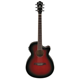 IBANEZ AEG10II TRS