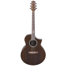 IBANEZ EW20 WNE NT