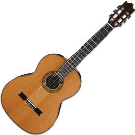 IBANEZ G500 NT