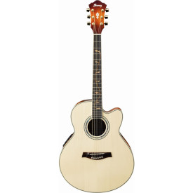 IBANEZ AW3000CE NT