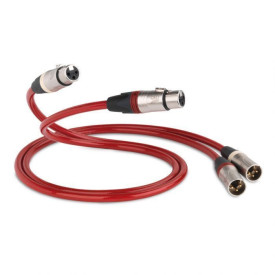QED Reference Analogue XLR 40 0.6M (QE3280)
