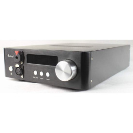 Audio-gd NFB-29 (2 TXCO