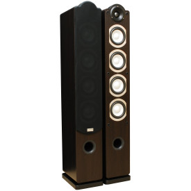 Taga Harmony Platinum F-60 SL WENGE