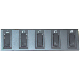 KORG EC 5