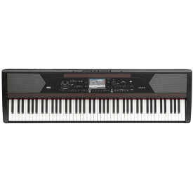 KORG HAVIAN 30