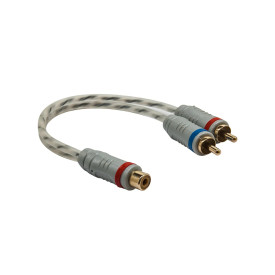 Earthquake MT-RCA-Y2M
