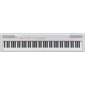 YAMAHA P-105WH
