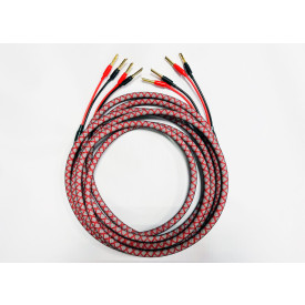 DALI CONNECT SC RM230S + Z Gold plugs 2 x 1.5 м