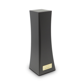 DS Audio ION-001 Vinyl Ionizer