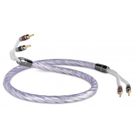 QED GENESIS PRE-TERM CABLE 5M (QE1486)