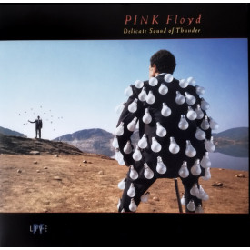 Pink Floyd: Delicate Sound Of Thunder Vinyl 2LP