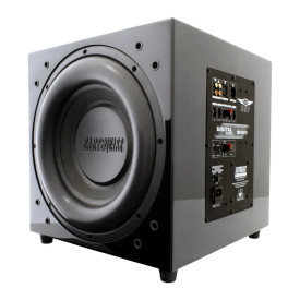 Earthquake MiniMe DSP P15