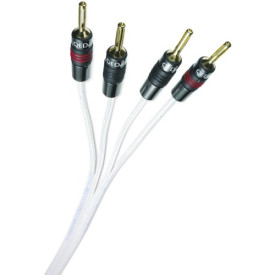 QED C-QSAXTBW/50