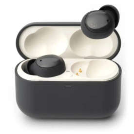 Final Audio ZE500 for ASMR Dark Gray