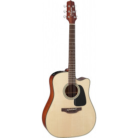 TAKAMINE P2DC