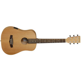 Tanglewood TWR TE