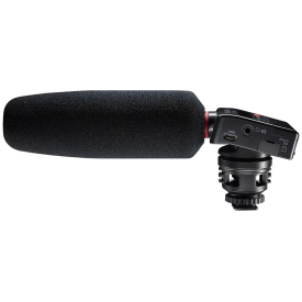 Tascam DR-10SG